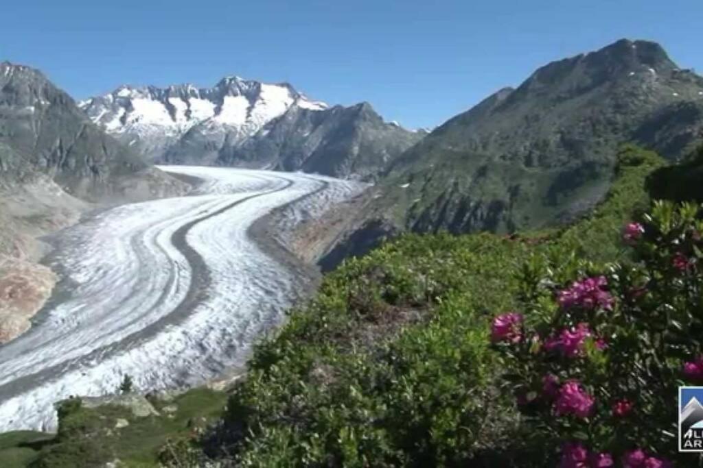 Perle Des Alpes, Bettmeralp, Switzerland Esterno foto